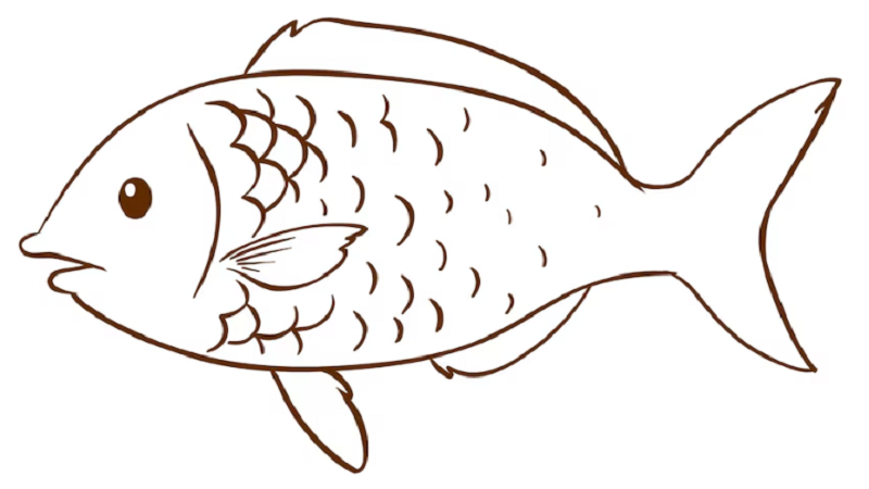 Drawing:4o7kwxpryiy= Fish: Techniques and Tricks