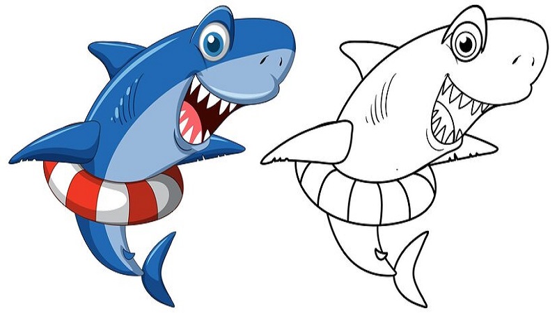 Cute: s4nremv56q0= Shark Drawing: Easy Drawing Guide