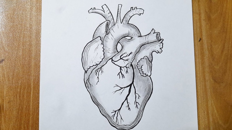 Easy:iwzrbi5qila= Heart Drawing